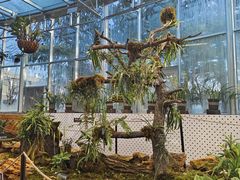 -国家植物园南园