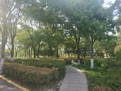 -西安汉城湖景区