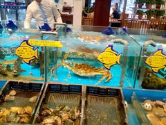 水产区-海铺·渔家虾水饺(皇姑店)