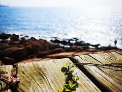 -青岛第三海水浴场