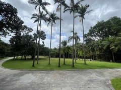 -深圳仙湖植物园