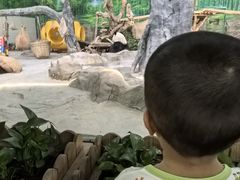 -灵玲国际马戏城