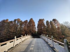 -上海海湾国家森林公园