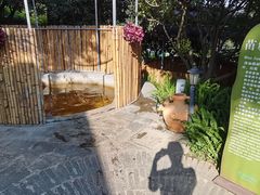 -华侨城阳宗海海景温泉