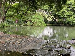 -成都市活水公园