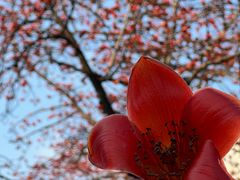 -烈士陵园(地铁站)