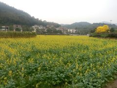-红山村