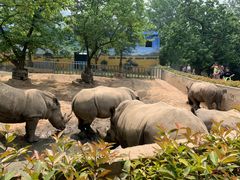 -西安秦岭野生动物园