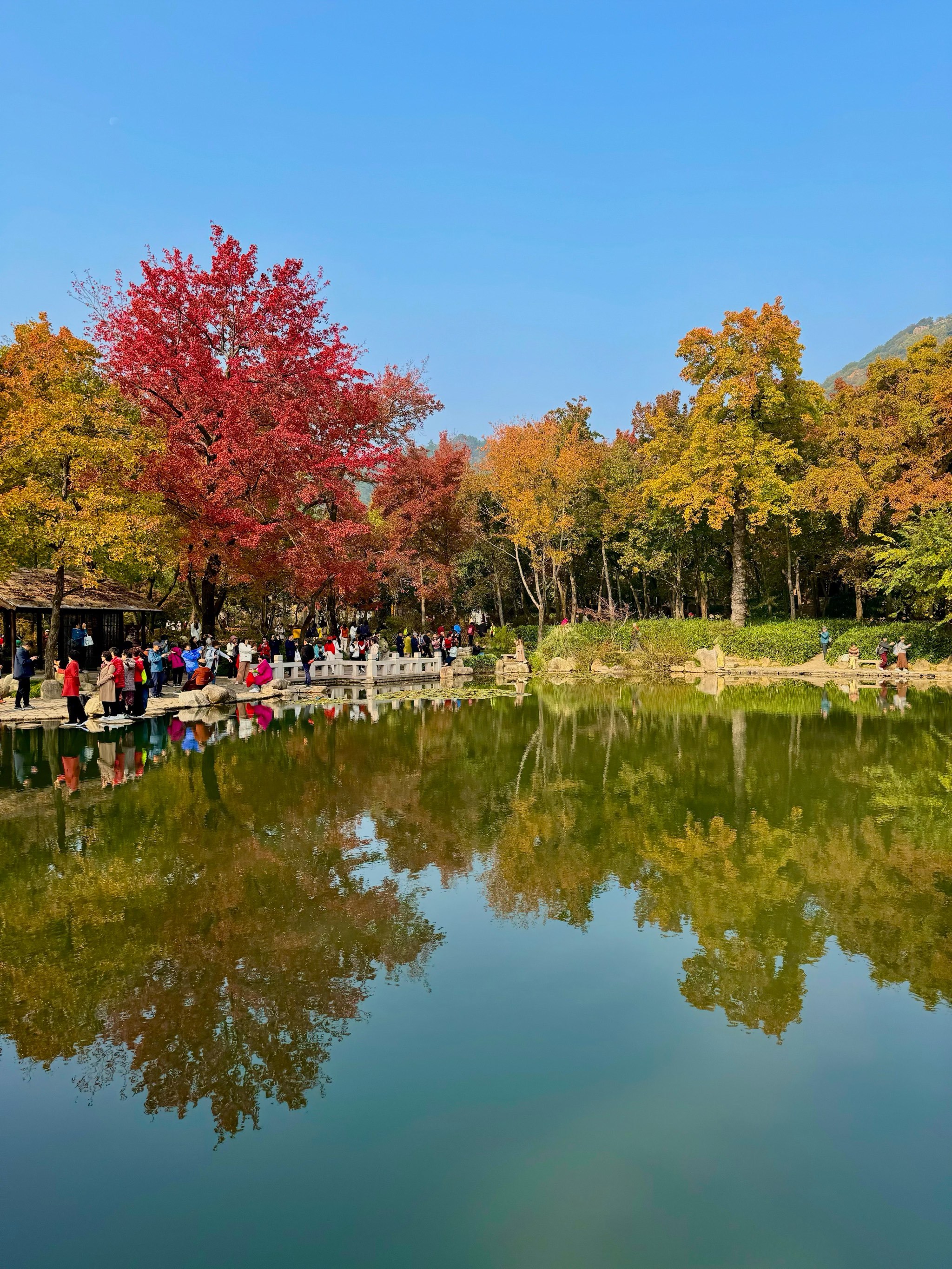 上海出发当日高铁往返,苏州极限一日游!