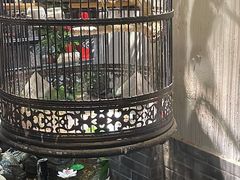 -清真京华源·涮肉烧烤(丰庆店)