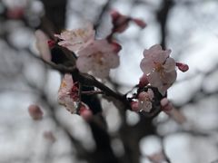 -潜龙渠公园