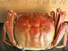 -七的湖·晚芳亭·阳澄湖农家菜·大闸蟹(莲花岛店)