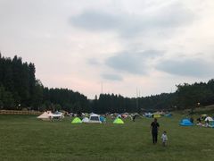-武陵山森林公园