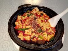 -陈麻婆豆腐总店