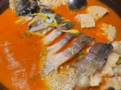 -饭菊家宴·老平安(平安店)