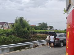 -南汇水蜜桃采摘(大团店)
