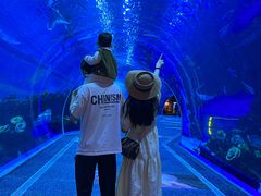 -成都浩海立方海洋公园