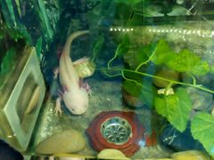 android_upload_pic-上海大自然野生昆虫馆