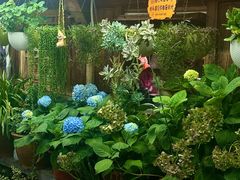 -龙姐私房菜(和顺古镇店)