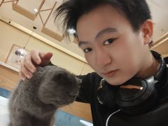 -滚猫咖啡·猫咖·猫友好撸猫(未来城店)