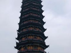 -葛仙湖公园