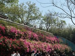 -红螺寺