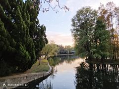 -上海共青森林公园