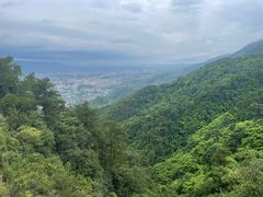-缙云山景区