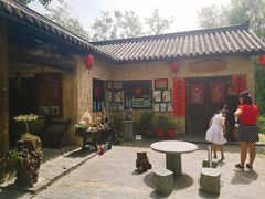 -合肥滨湖国家森林公园