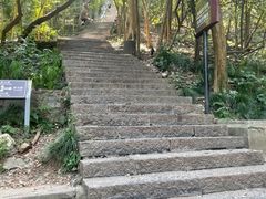 -紫金山山顶公园