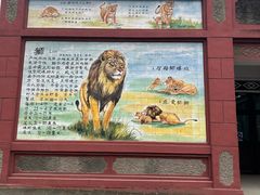 -保定市动物园