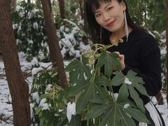 -中国翰园碑林