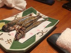 -月龍吟(朝龙汇店)