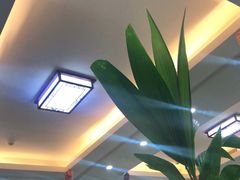 -墨脱石锅椰子鸡•香草鸭•东山羊(大东海店)