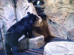 -波塞冬旅游度假区