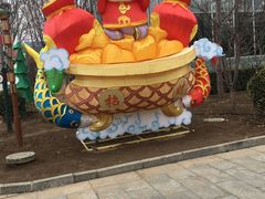 -南宫五洲植物乐园