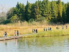 -溱湖国家湿地公园