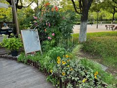 -汉口江滩-五福广场