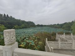 -东湖落雁景区