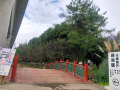-秀丽东方