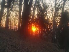 -浮山香苑