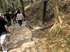-灵顺寺