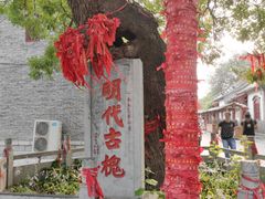 -杨家埠民间艺术大观园