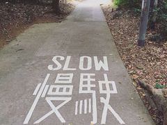 -南丫岛