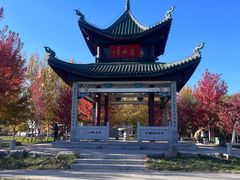 -东北农业大学饺子园