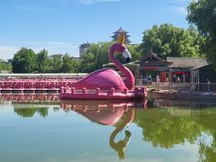 -莲花池公园