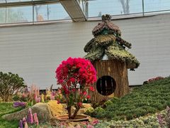 -沂蒙云瀑洞天景区
