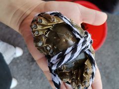 -无锡天鹏食品城