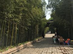 -龙潭水乡