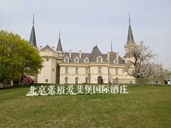 -北京张裕爱斐堡酒庄